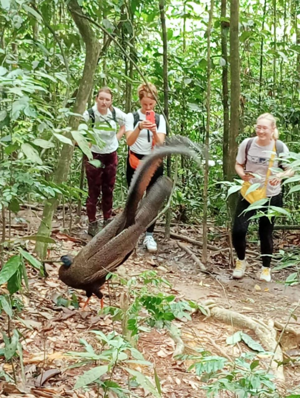 Bukit Lawang Landak River Guest House Bagian luar foto