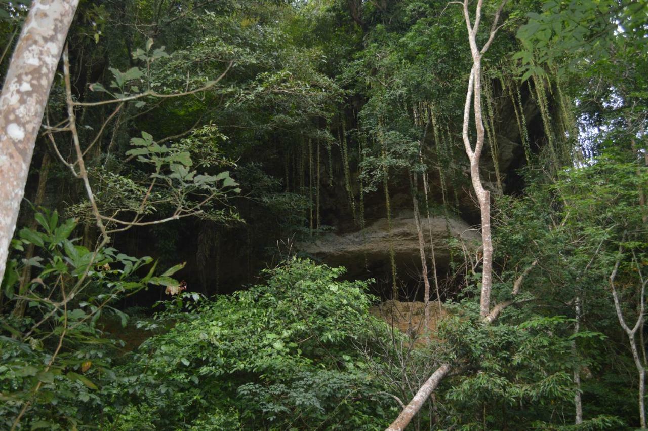 Bukit Lawang Landak River Guest House Bagian luar foto