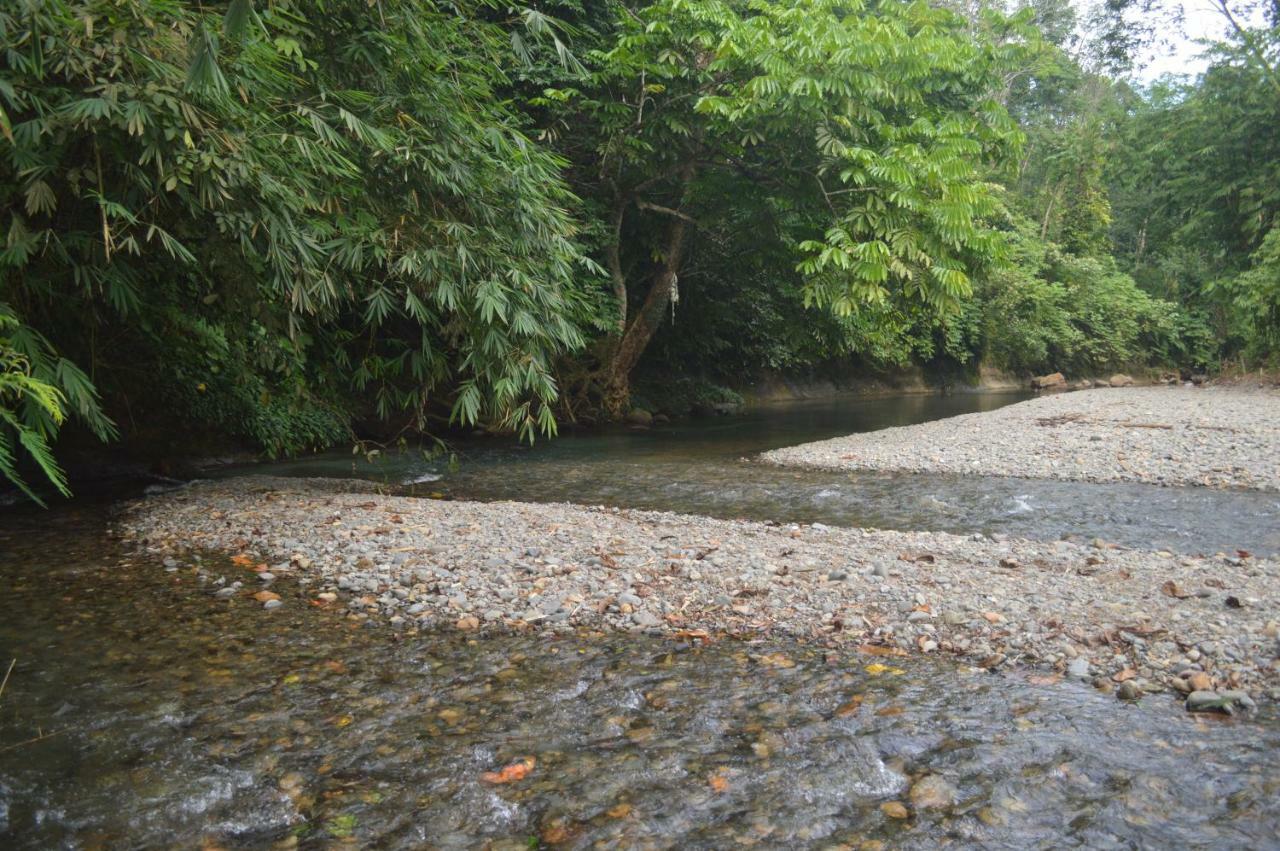 Bukit Lawang Landak River Guest House Bagian luar foto