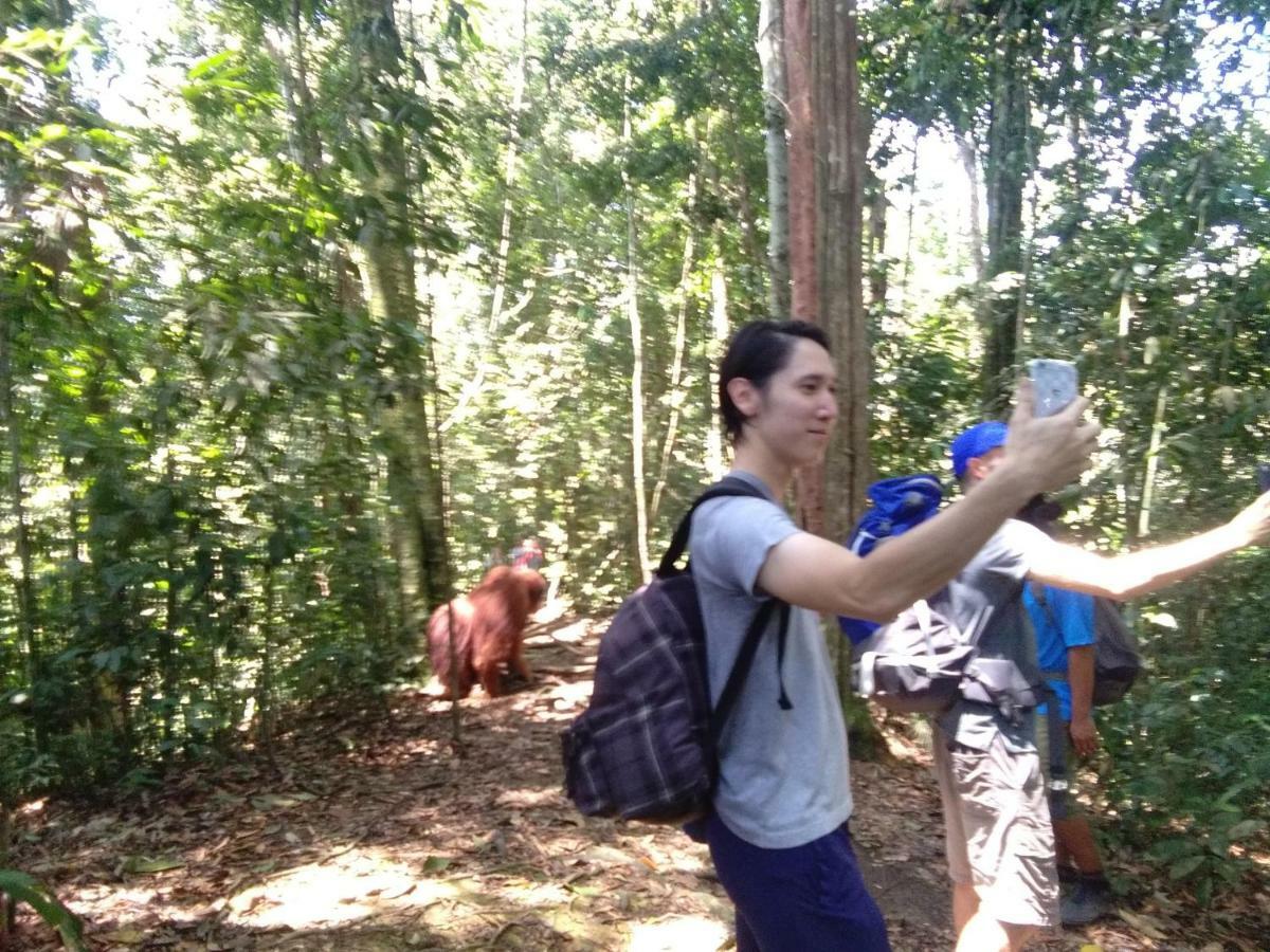 Bukit Lawang Landak River Guest House Bagian luar foto