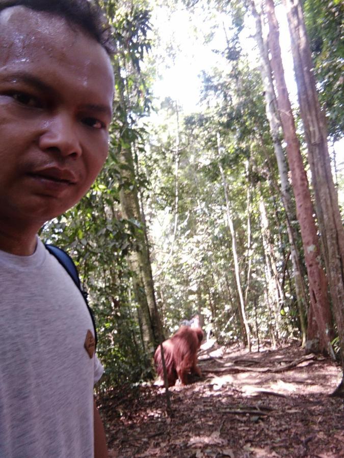 Bukit Lawang Landak River Guest House Bagian luar foto